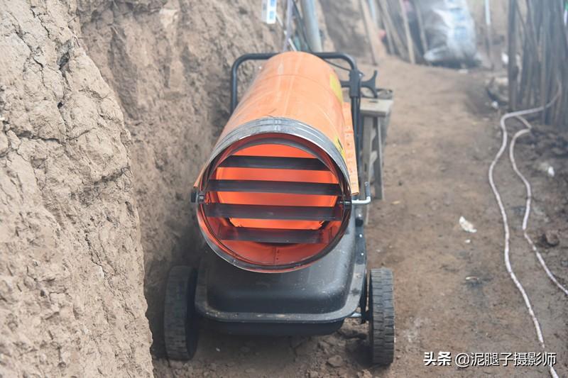 山西農(nóng)民大棚里種香椿，9分地種植70000苗，28元1斤，收入保密