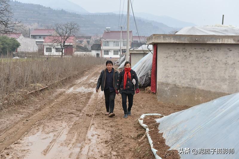 山西農(nóng)民大棚里種香椿，9分地種植70000苗，28元1斤，收入保密