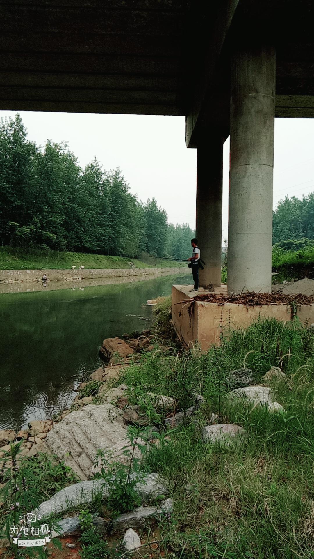湖北宜都枝城赤溪河，長在河邊的抗癌藥草