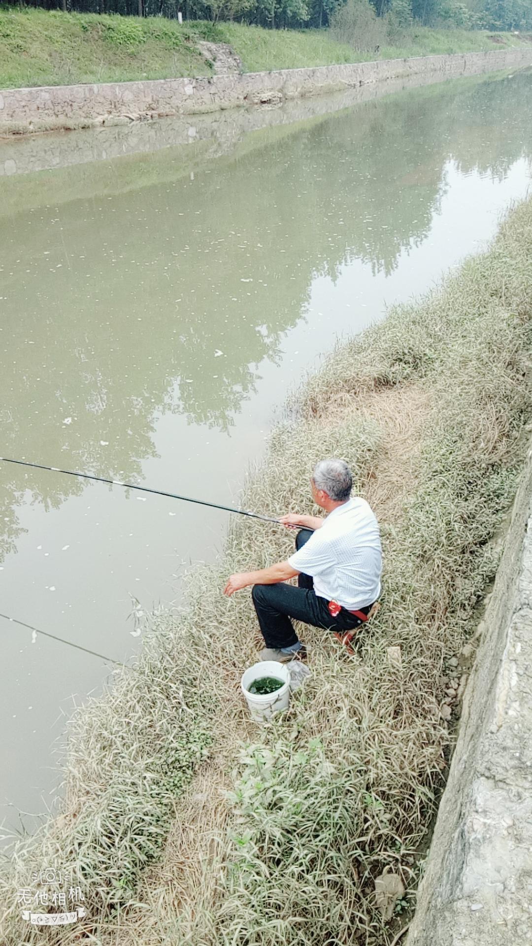 湖北宜都枝城赤溪河，長在河邊的抗癌藥草